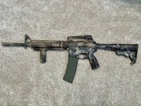 IMG_7831.jpeg