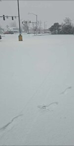 received_521896310937119.jpeg