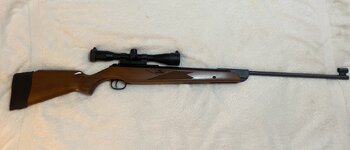 IMG_1479.jpeg