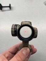 IMG_7939.jpeg