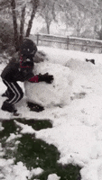 200.gif