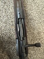 IMG_0149.jpeg
