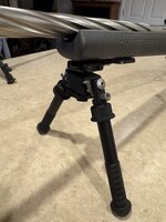 IMG_6011.jpeg