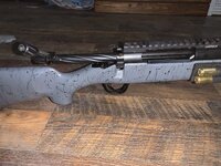 IMG_1467.jpeg