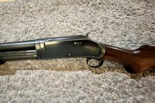 thumbnail_IMG_0597.jpg