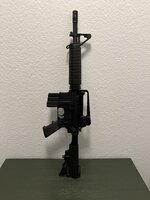 IMG_3738.jpeg