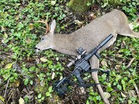 IMG_4108.jpeg
