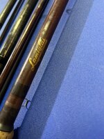 IMG_2938.jpeg