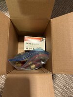 IMG_5600.jpeg