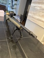 IMG_2113.jpeg