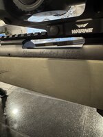 IMG_2112.jpeg