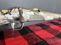 IMG_1731.jpeg
