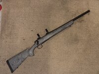 IMG_0400.jpeg