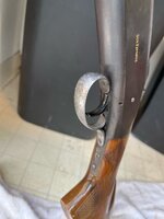 IMG_2998.jpeg