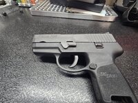 Sig 2.jpg