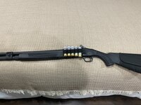 IMG_1571.jpeg