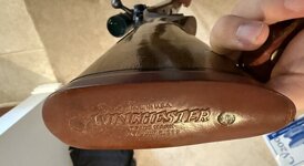 IMG_1680.jpeg