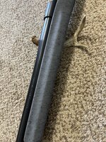 IMG_5137.jpeg