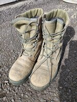 IMG_20250305_125502.jpg