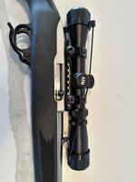 IMG_6203.jpeg