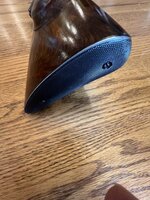 IMG_6017.jpeg