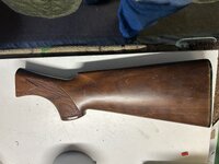 IMG_3401.jpeg