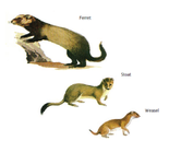 1741548019100.png
