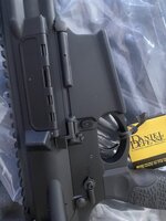 IMG_7795.jpeg