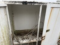 IMG_0665.jpeg