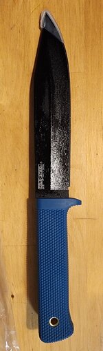 20250310_080213.jpg