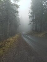 1000122810.jpg