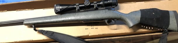IMG_0278.jpeg