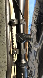 IMG_0279.jpeg