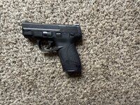 IMG_2595.jpeg