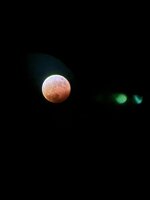 IMG_0264.jpeg