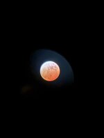 IMG_0263.jpeg