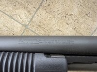 IMG_5834.jpeg