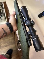 IMG_6515.jpeg