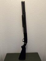 IMG_4770.jpeg