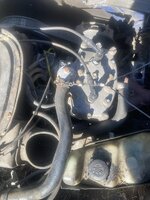 IMG_4556.jpeg