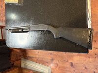 IMG_2725.jpeg