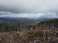IMG_20250318_145358.jpg