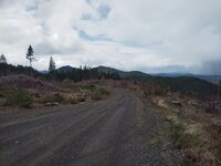 IMG_20250318_145403.jpg