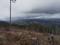 IMG_20250318_145401.jpg