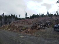 IMG_20250318_145411.jpg