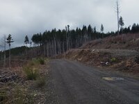 IMG_20250318_145413.jpg