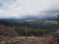 IMG_20250318_145954.jpg