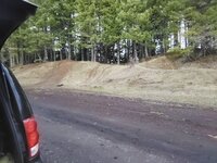 IMG_20250318_152412.jpg