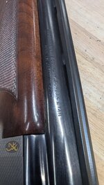 PXL_20250320_224932043.jpg
