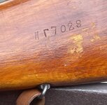 IMG_1933.jpeg